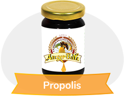 Propolis Katı 100 gr % 95 lik. exrakt